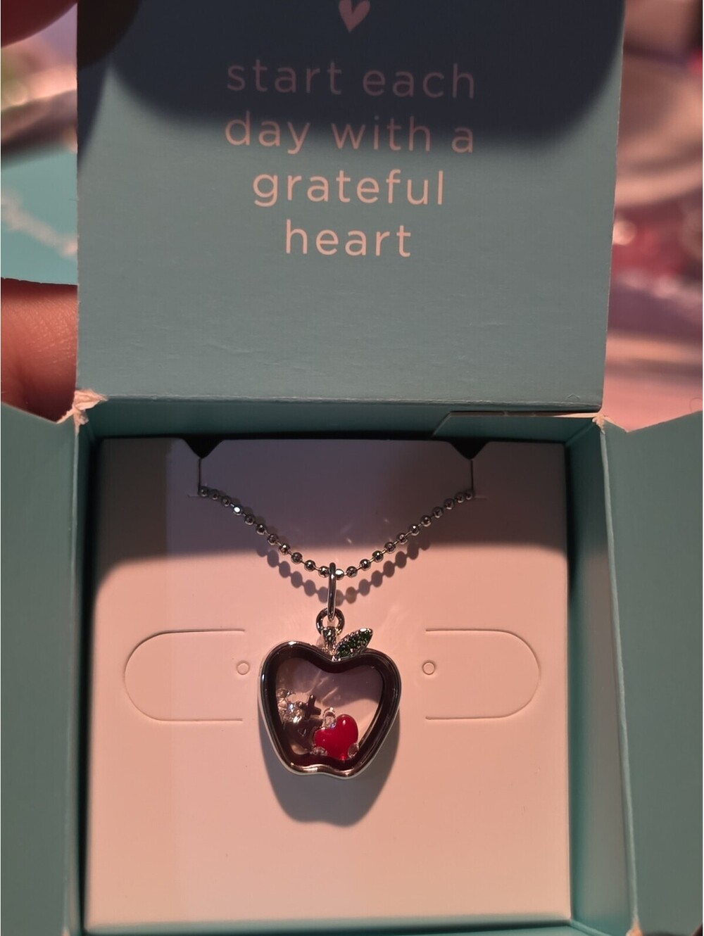 NEW ORIGAMI OWL LK1109 SILVER APPLE CAPSULE LOCKET NECKLACE 16"-18" Teacher Gift